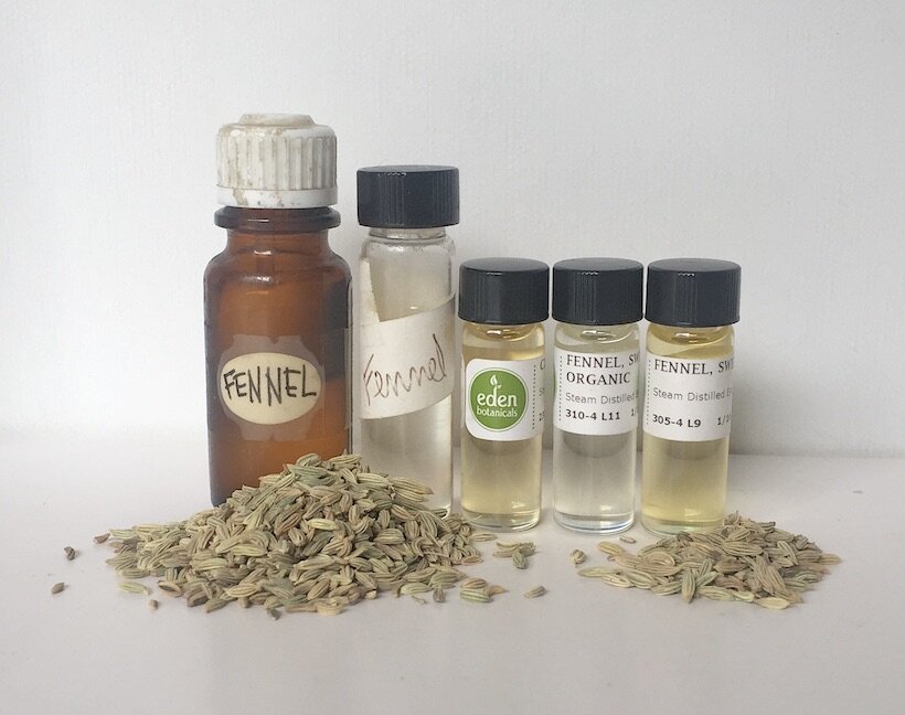 FENNEL SEED Herb/EO/Hydrosol Profile Aromatherapy Blog